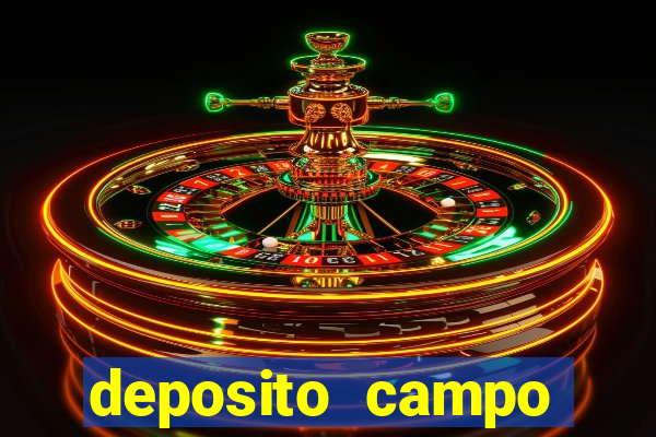 deposito campo grande santos